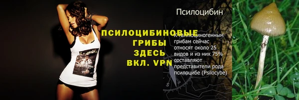 герыч Богородицк