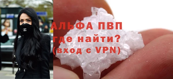 индика Белоозёрский