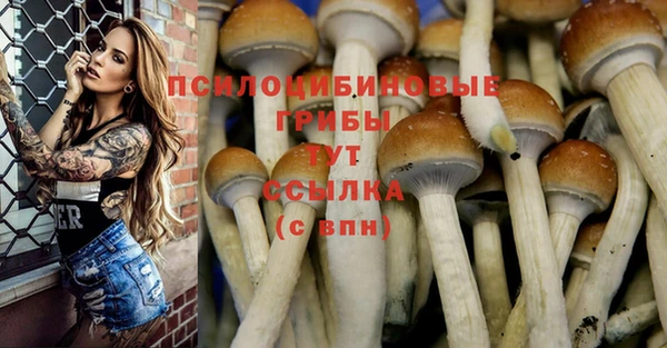 индика Белоозёрский