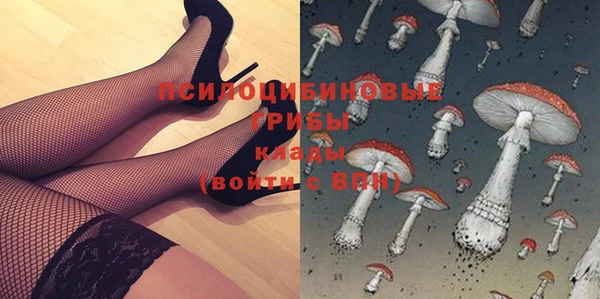 ГАЛЛЮЦИНОГЕННЫЕ ГРИБЫ Бородино