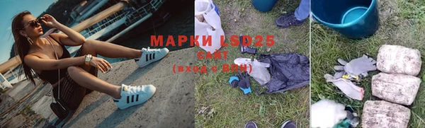 индика Белоозёрский