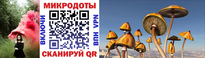 Псилоцибиновые грибы Psilocybine cubensis  как найти закладки  OMG tor  Соль-Илецк 